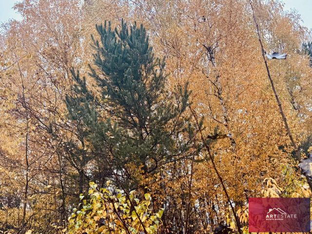 Działka budowlana Słowak. Zdjęcie 18