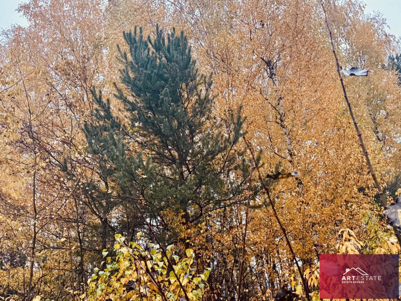 Działka budowlana Słowak. Zdjęcie 18