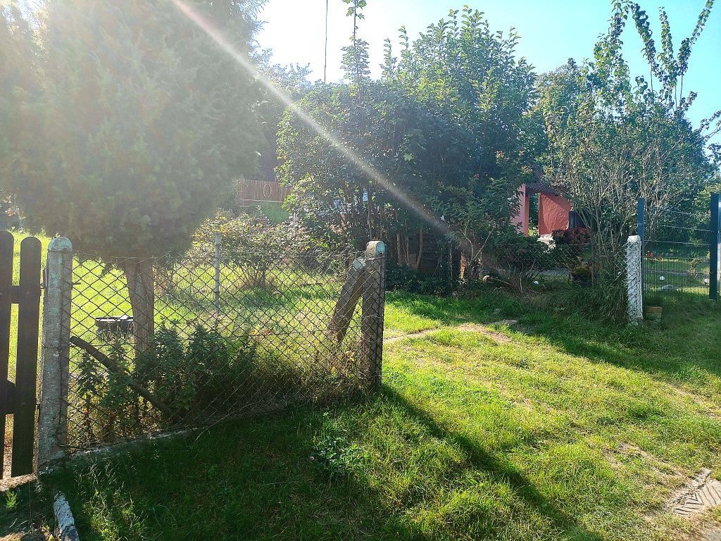 Działka rod Szczecin Golęcino, ul. Pokoju. Zdjęcie 7