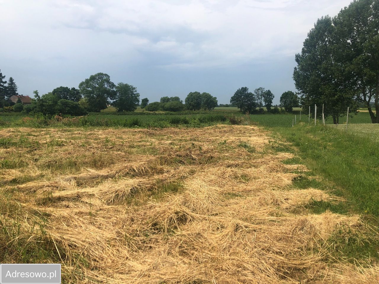 Działka budowlana Wołowice, ul. Rzepakowa. Zdjęcie 2