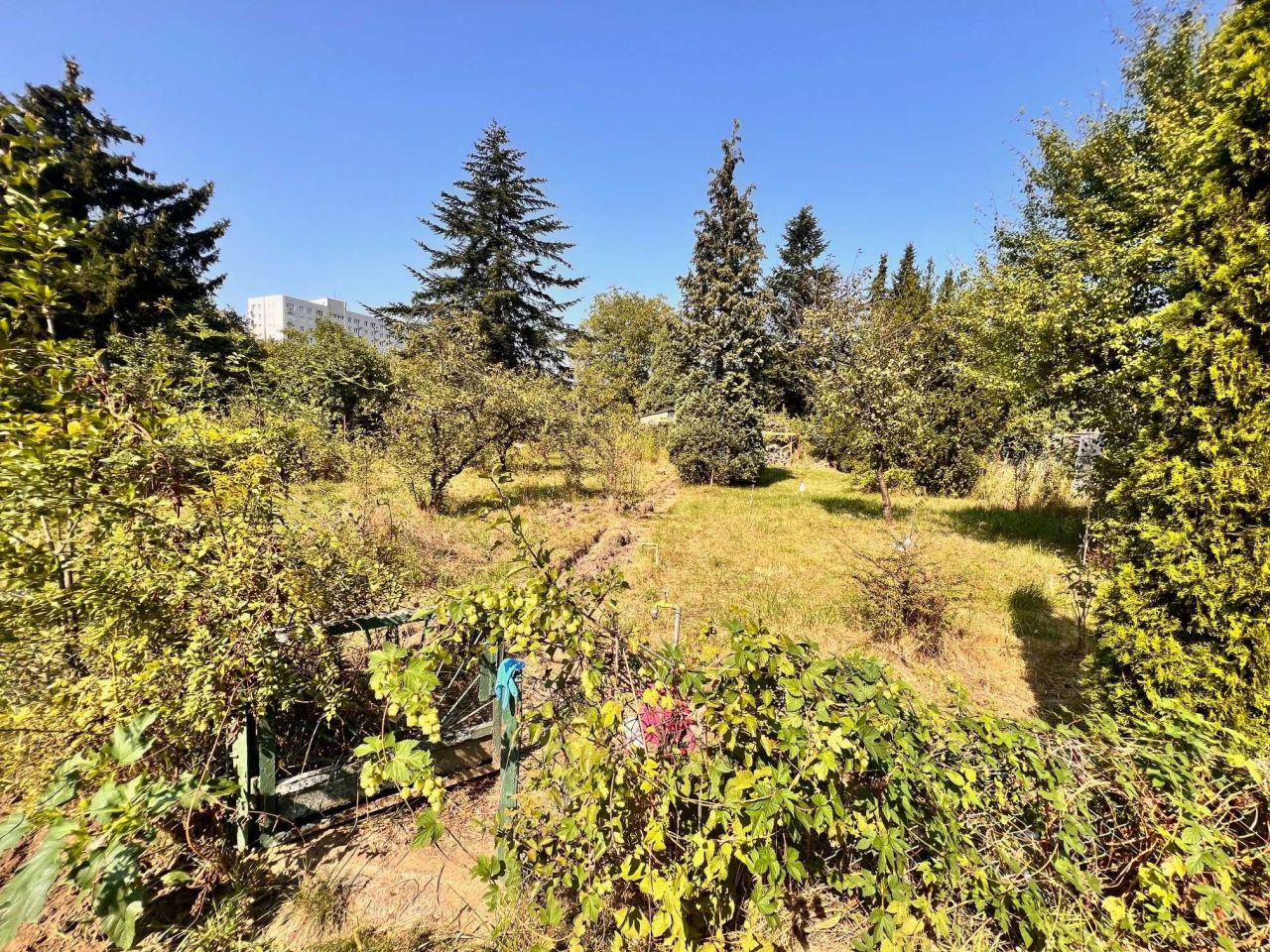 Działka rod Warszawa Praga-Południe, al. Jerzego Waszyngtona. Zdjęcie 8