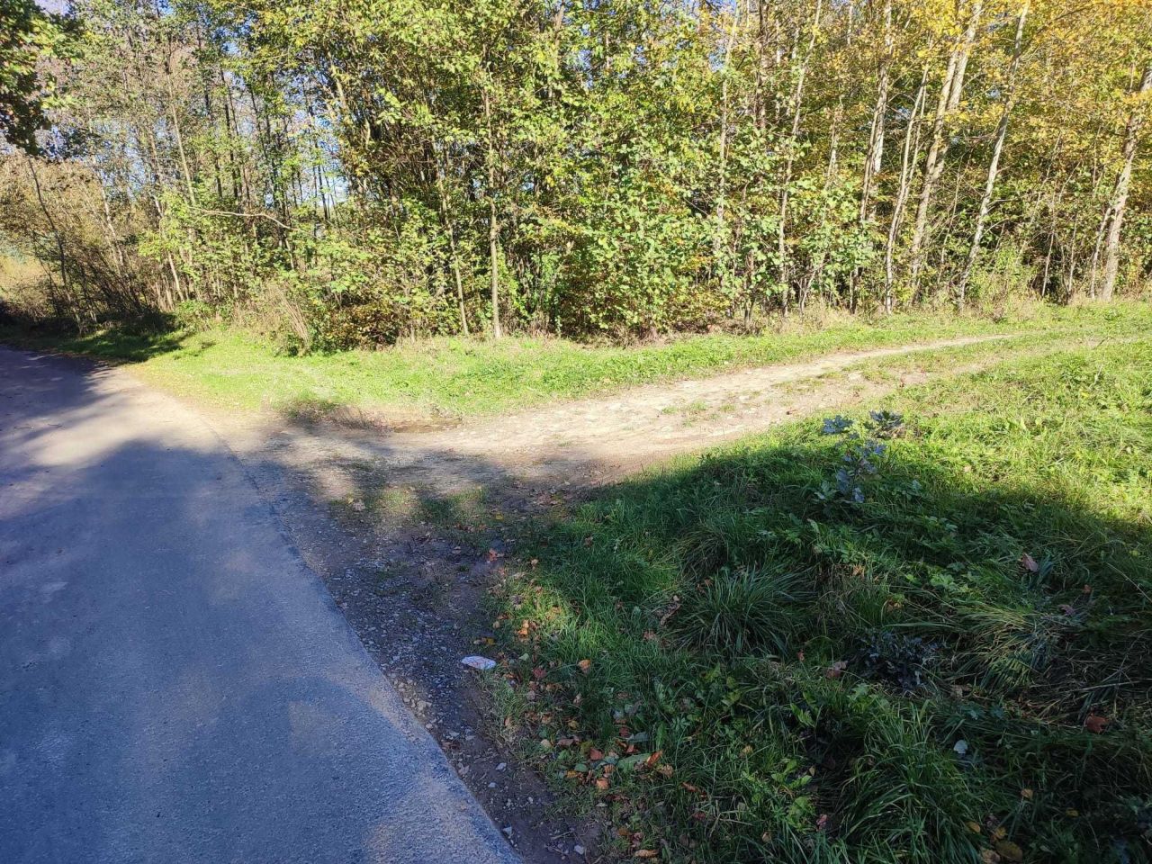 Działka rekreacyjna Drohobyczka. Zdjęcie 3