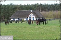 Działka siedliskowa Dobropole. Zdjęcie 2