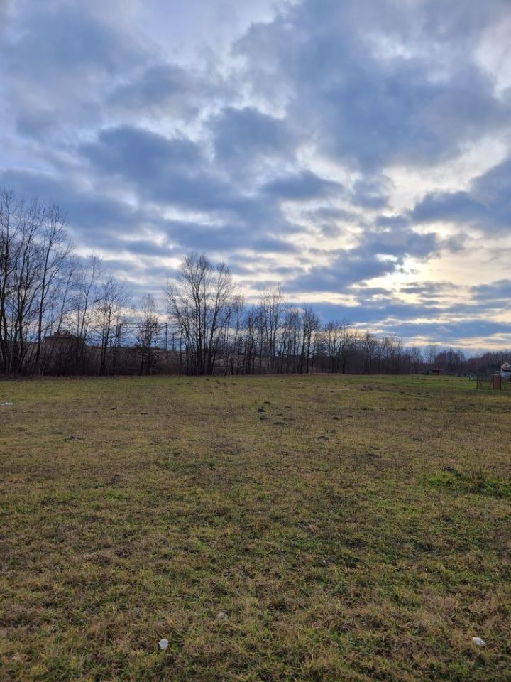 Działka rolno-budowlana Chrzęsne. Zdjęcie 6