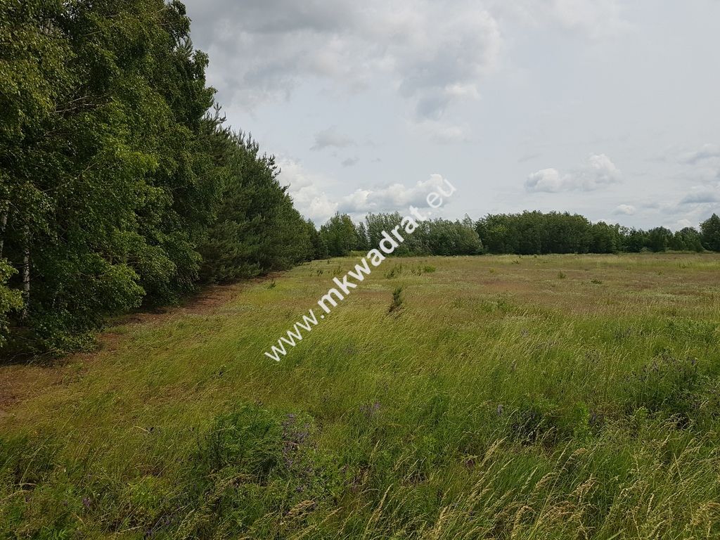 Działka inwestycyjna Jaktorów-Kolonia. Zdjęcie 9