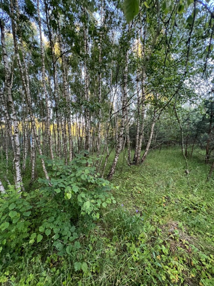 Działka rekreacyjna Bożepole Królewskie. Zdjęcie 2