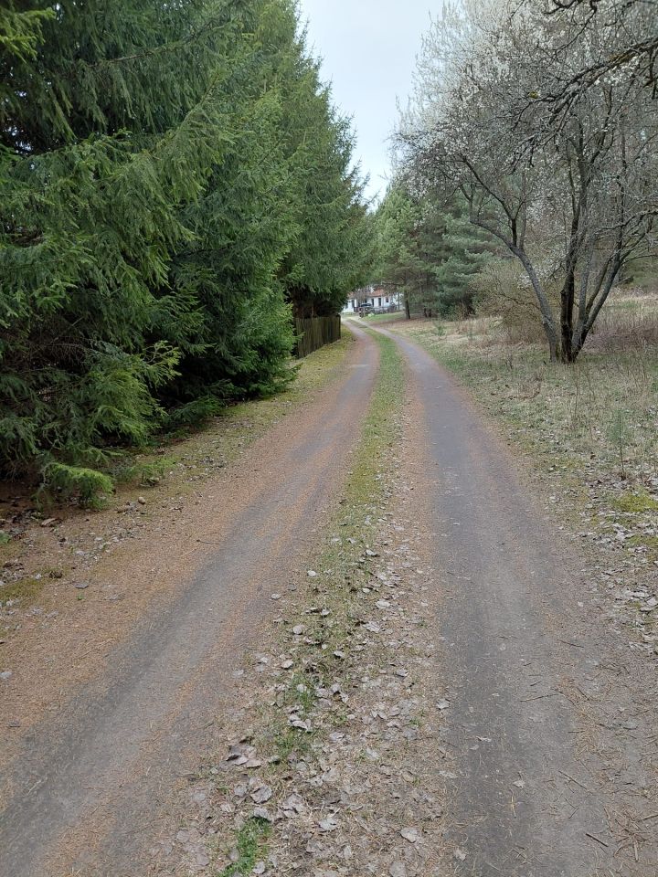 dom wolnostojący, 4 pokoje Domyśl. Zdjęcie 17