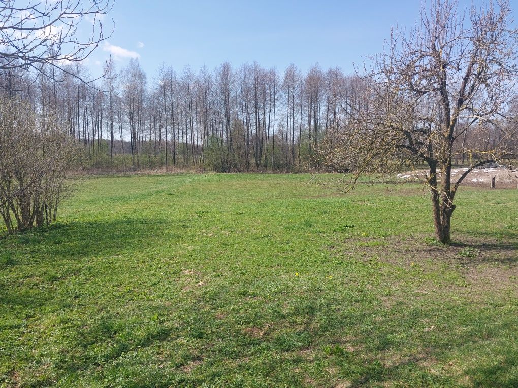 gospodarstwo Kopaniarze. Zdjęcie 8