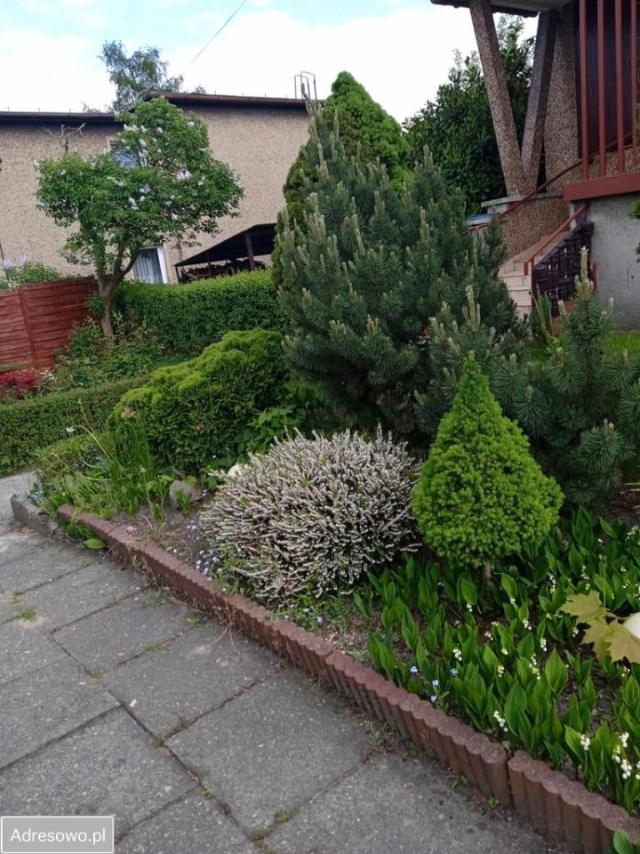 dom wolnostojący, 6 pokoi Rybnik. Zdjęcie 18