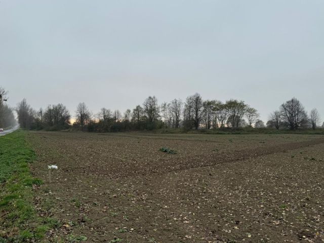 Działka inwestycyjna Mirosławice. Zdjęcie 7