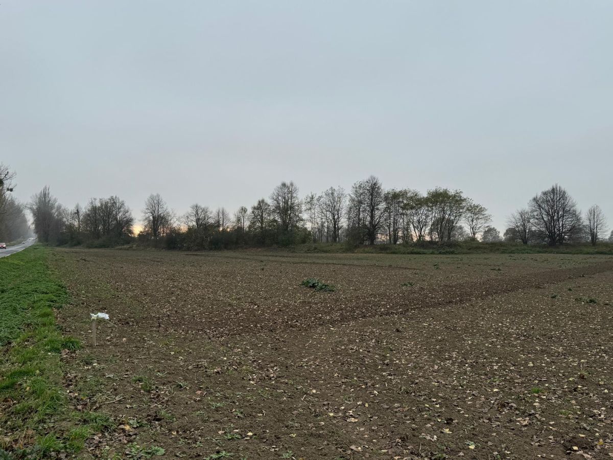 Działka inwestycyjna Mirosławice. Zdjęcie 7