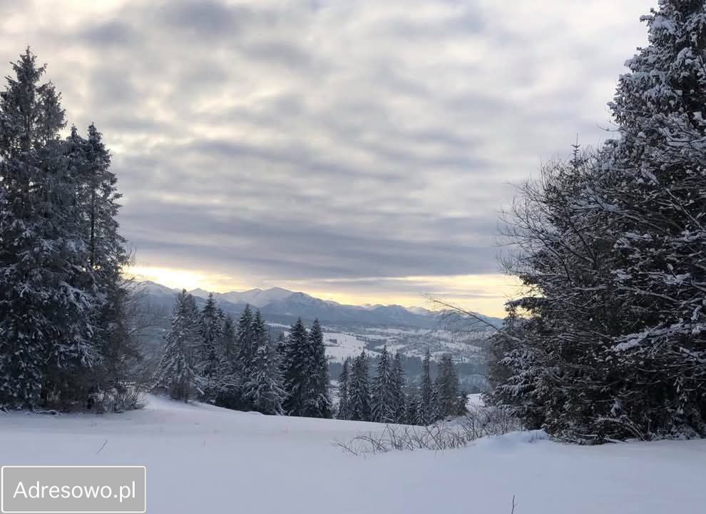 Działka budowlana Rzepiska, ul. Pawliki. Zdjęcie 2