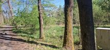 Działka budowlana Dębska Kuźnia, ul. Kolonia. Zdjęcie 2
