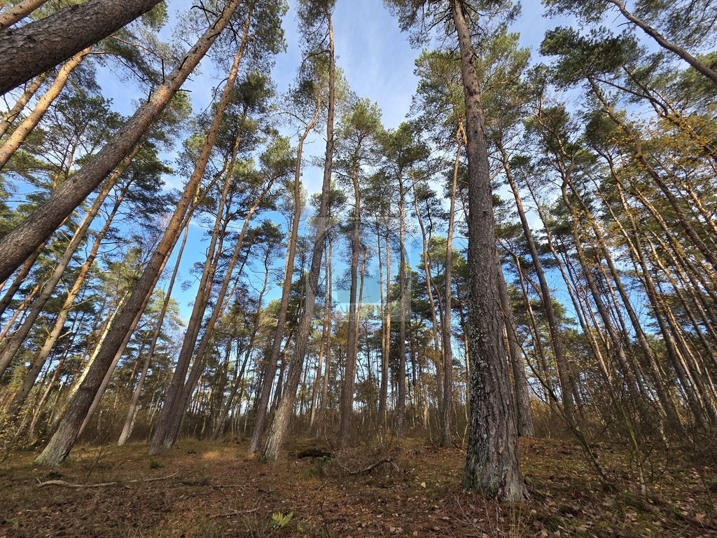 Działka budowlana Dziwnów. Zdjęcie 13