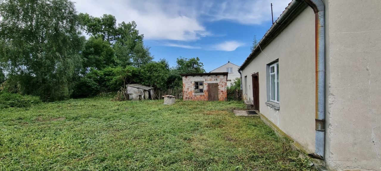 Działka rolna Wielenin. Zdjęcie 11