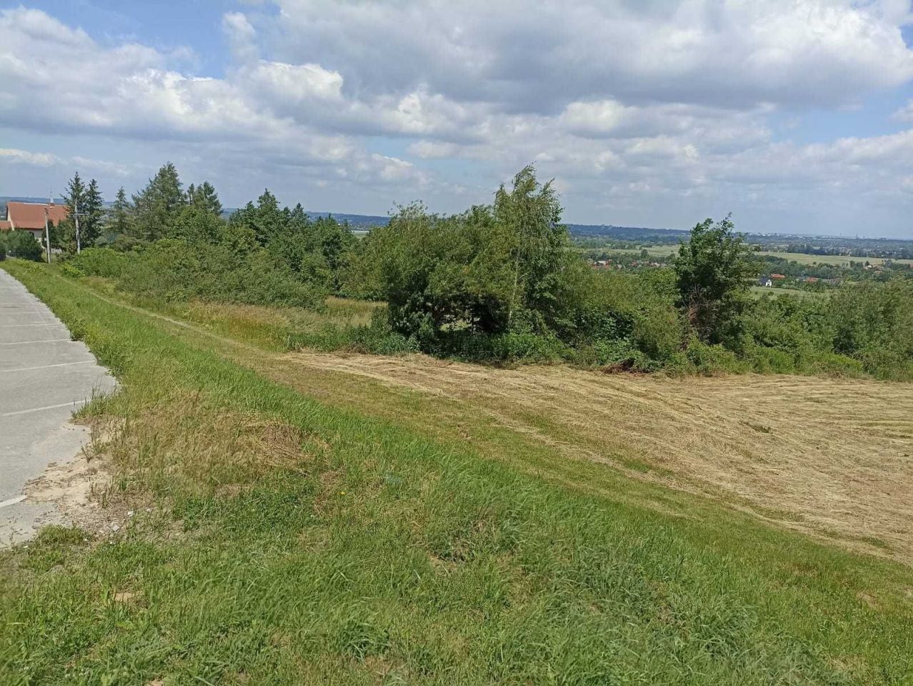 Działka rolno-budowlana Siedliska. Zdjęcie 2