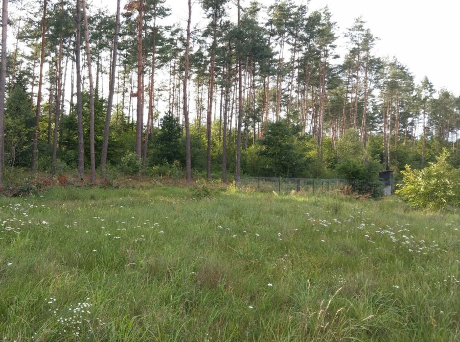 Działka budowlana Niepoczołowice, ul. Topolowa