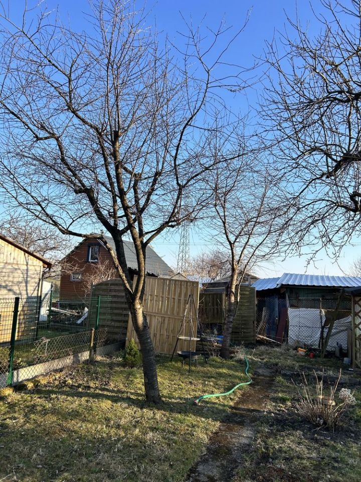 Działka rod Koszalin. Zdjęcie 3