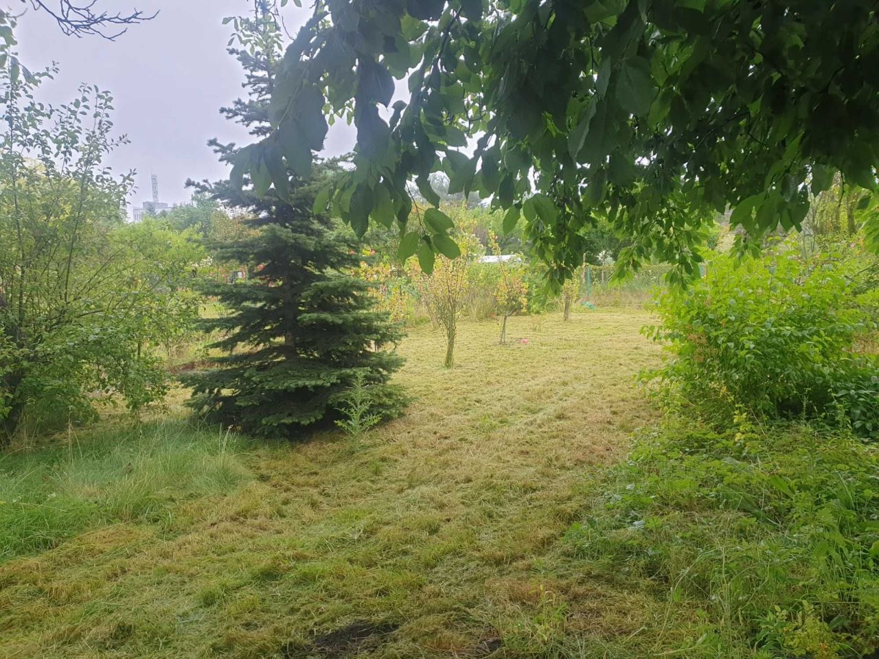 Działka rod Wrocław Fabryczna, ul. Szwajcarska. Zdjęcie 7