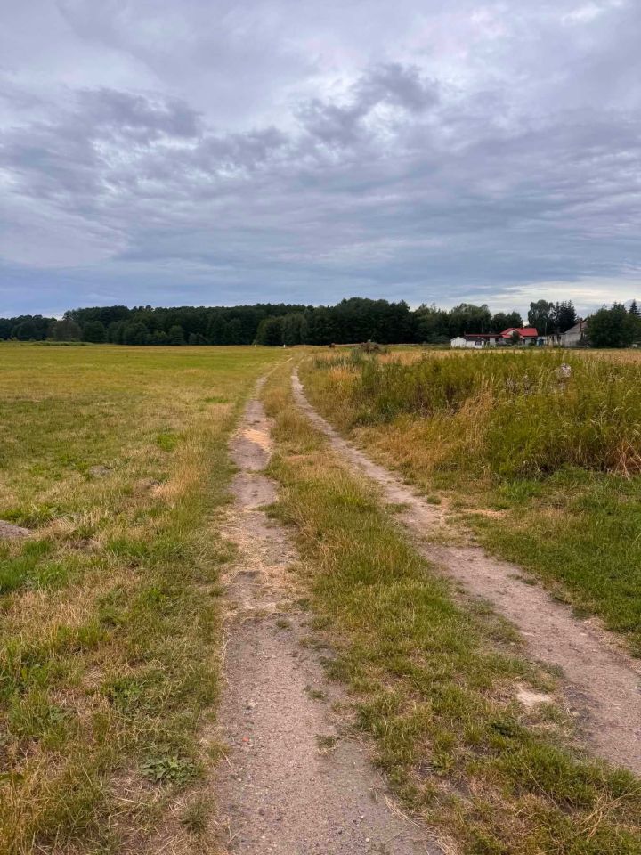 Działka rolno-budowlana Mleczków Mleczków-Kolonia. Zdjęcie 6