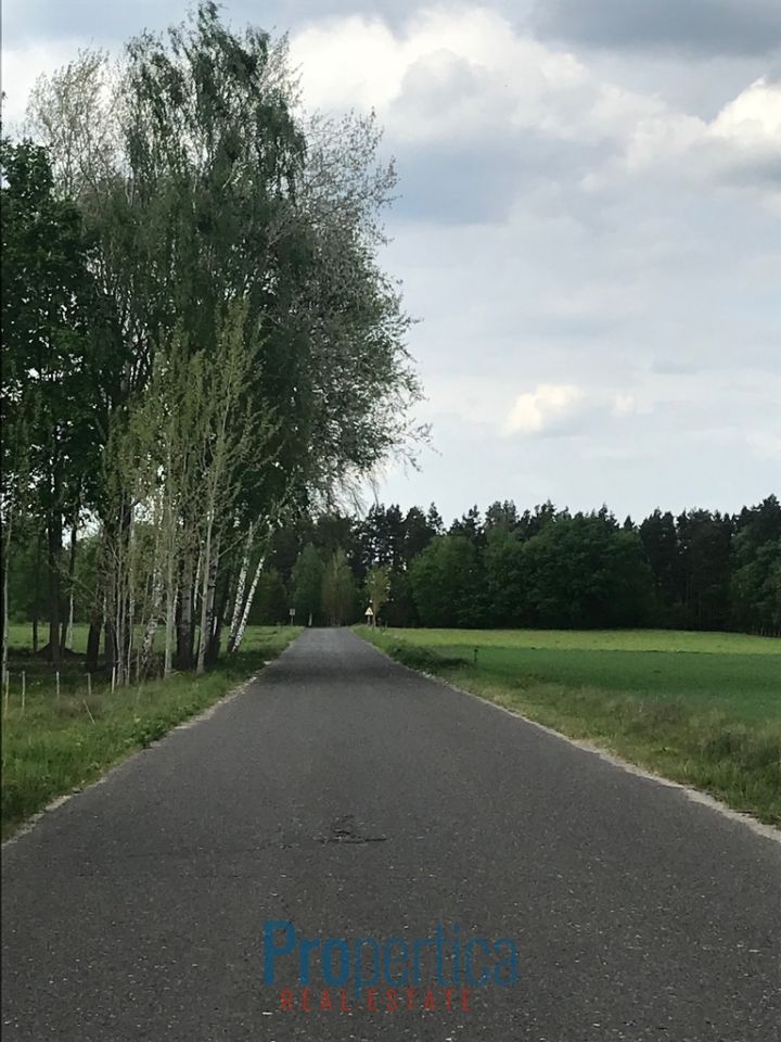 Działka budowlana Andrzejów. Zdjęcie 2