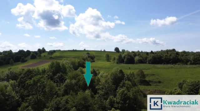 Działka rolna Golcowa. Zdjęcie 7