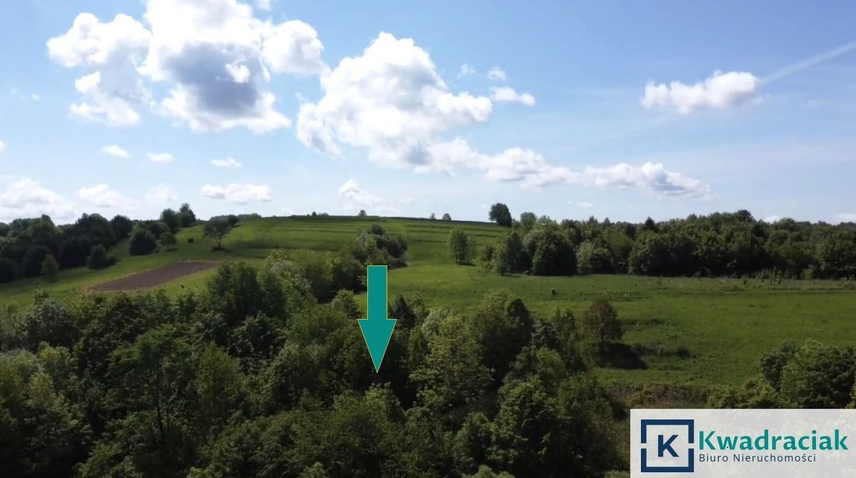 Działka rolna Golcowa. Zdjęcie 7