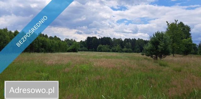 siedlisko, 1 pokój Luta. Zdjęcie 1