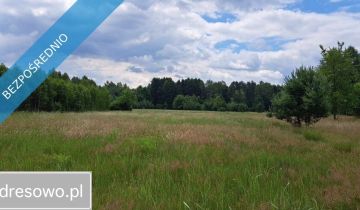 siedlisko, 1 pokój Luta