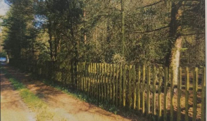 Działka leśna Moczalec