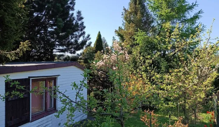 Działka rod Gdynia Chwarzno-Wiczlino