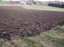 Działka rolno-budowlana Łysokanie. Zdjęcie 4