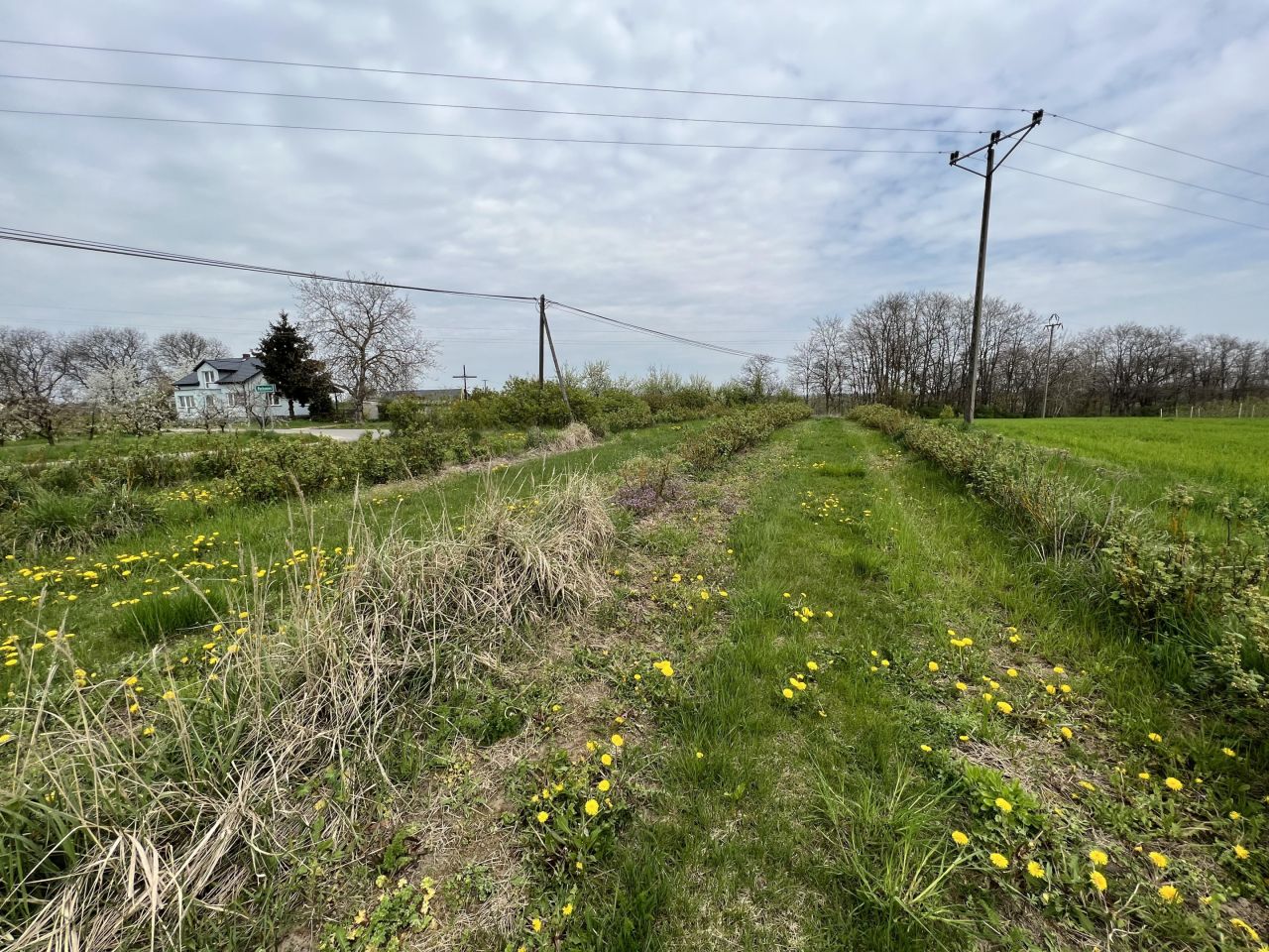 Działka rolno-budowlana Adamczowice. Zdjęcie 4