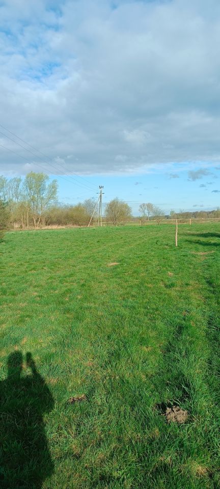 Działka budowlana Jędrzychów. Zdjęcie 2