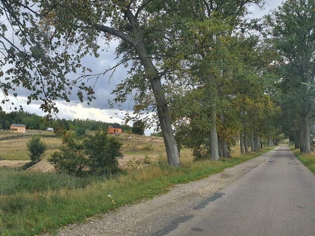 Działka budowlana Chłopowo, ul. Bukowa. Zdjęcie 1