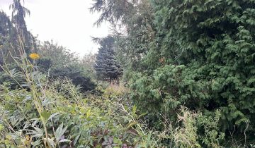 dom wolnostojący, 2 pokoje Czartki Czartki Małe