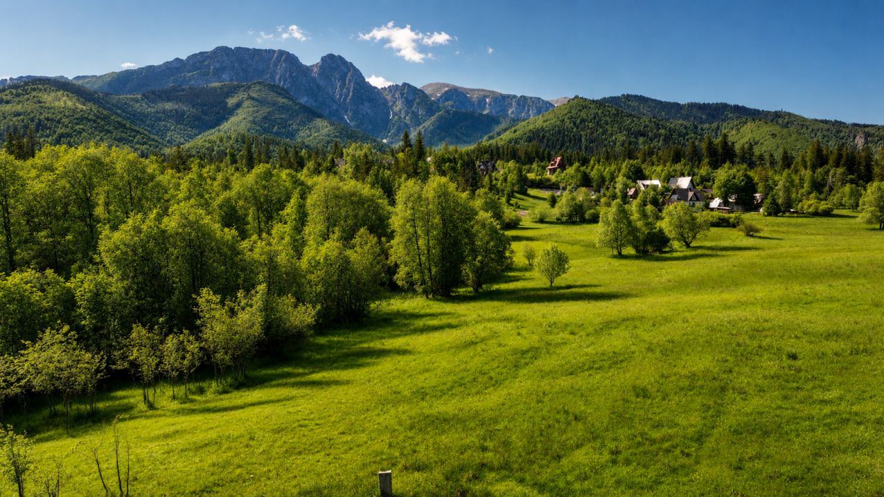 Działka rolna Zakopane, ul. Droga na Wierch. Zdjęcie 7
