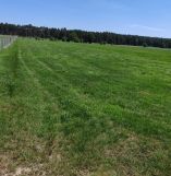 Działka rolna Marunowo. Zdjęcie 2