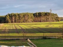 Działka rolno-budowlana Bojadła. Zdjęcie 2