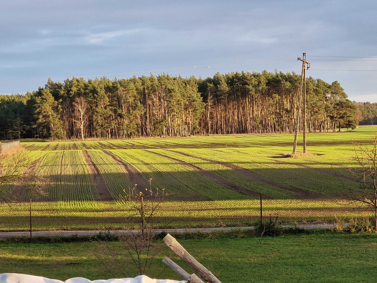 Działka rolno-budowlana Bojadła. Zdjęcie 3