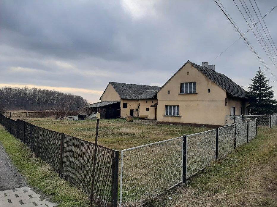 dom wolnostojący Wodzisław Śląski Wilchwy