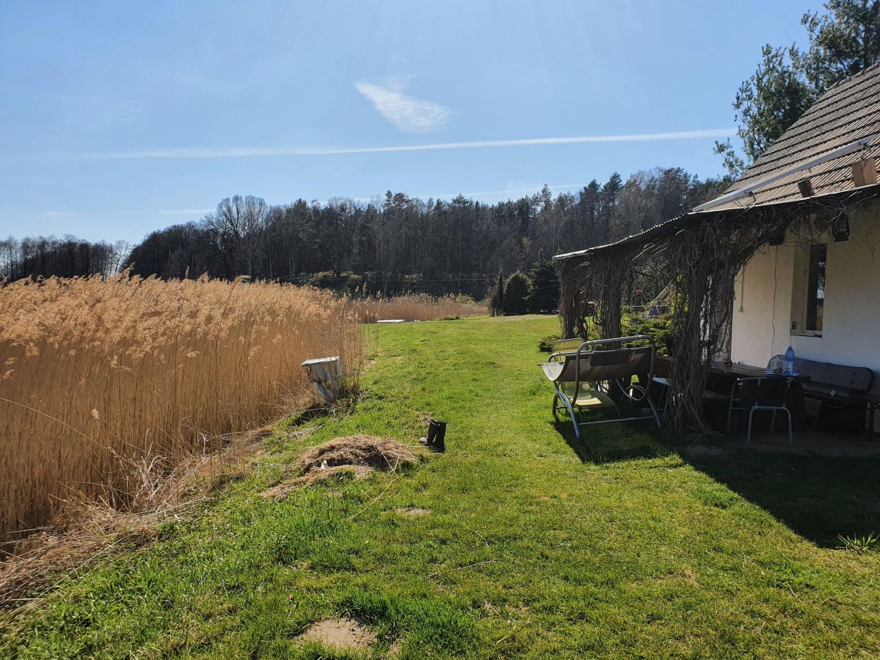 Działka rolna Bledzew Tymiana, ul. Tymiany. Zdjęcie 21