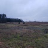 Działka siedliskowa Grabów Rycki. Zdjęcie 2