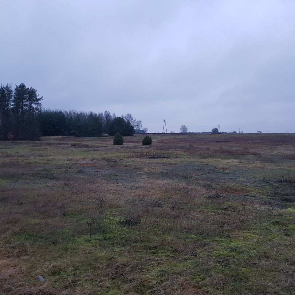 Działka siedliskowa Grabów Rycki. Zdjęcie 3