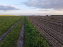 Działka rolna Gliwice Ostropa, ul. Ignacego Daszyńskiego. Zdjęcie 1