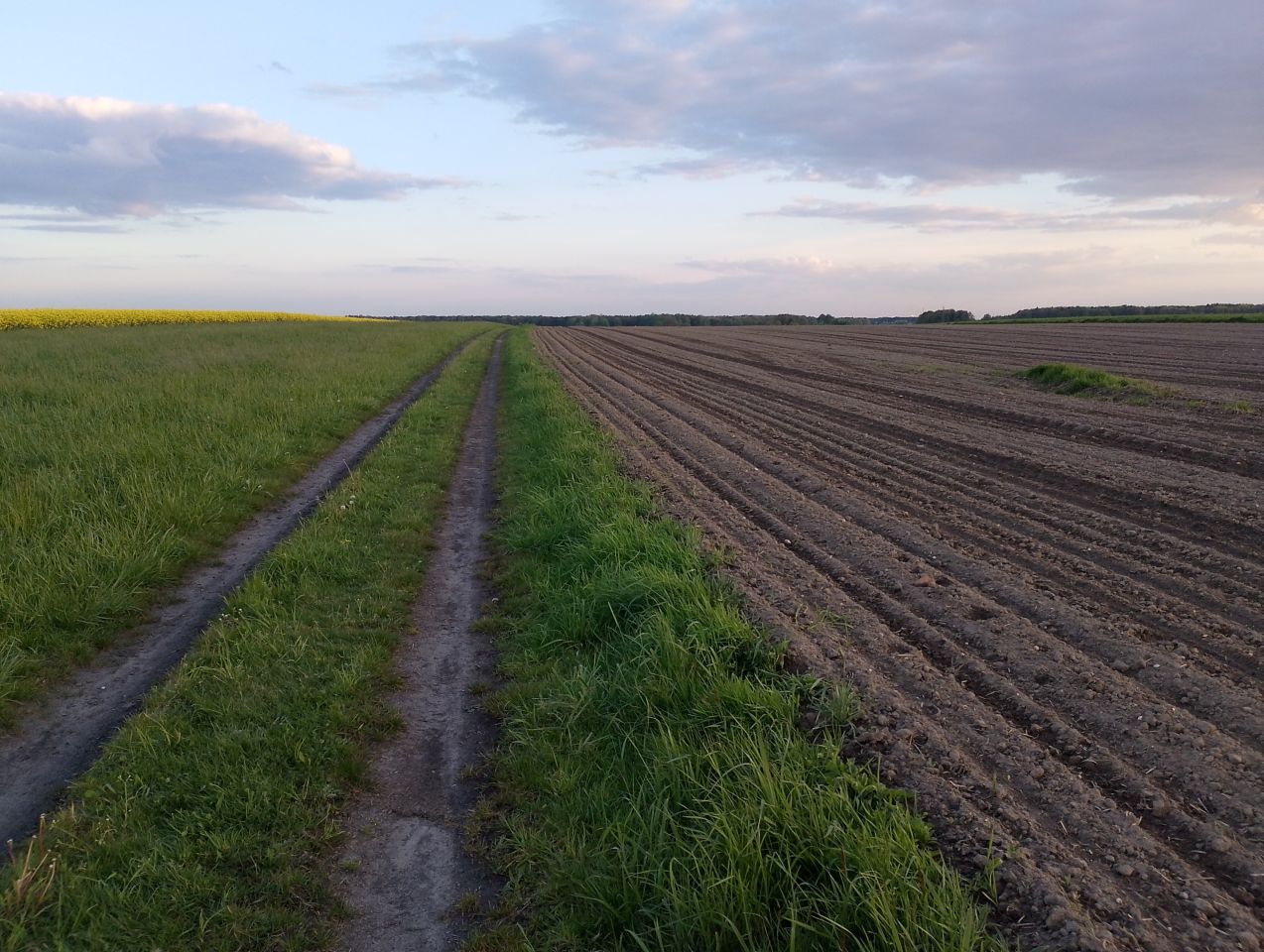 Działka rolna Gliwice Ostropa, ul. Ignacego Daszyńskiego. Zdjęcie 2