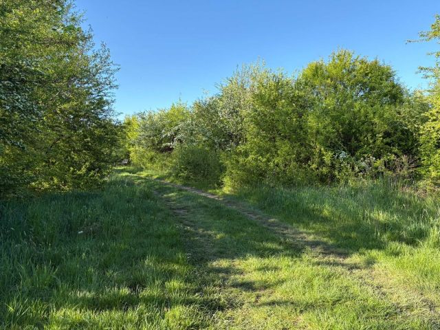 Działka rekreacyjna Nowa Wieś Mała. Zdjęcie 1