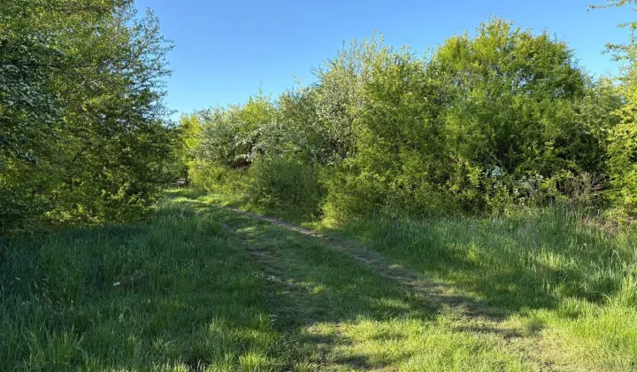 Działka rekreacyjna Nowa Wieś Mała