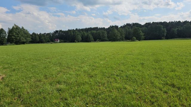 siedlisko, 3 pokoje Wólka Orłowska. Zdjęcie 8