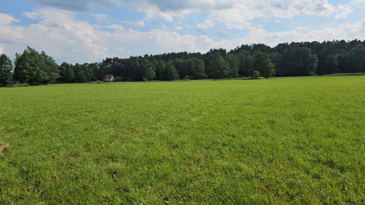 siedlisko, 3 pokoje Wólka Orłowska. Zdjęcie 8